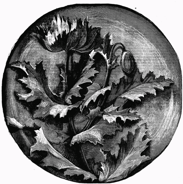 FIG. 2.—A PLAQUE.