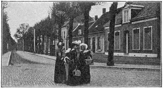 De Heuvel te Oosterhout.