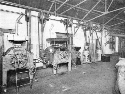 An English Gas Coffee-Roasting Plant