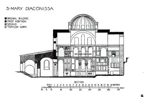 Longitudinal Section.