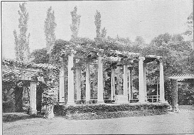 THE AMPHITHEATER—Arlington.