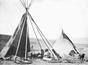 b. Crow camp at the old agency on the Yellowstone, near Shields River. Photograph by W. H.
Jackson, 1871

CROW TIPIS