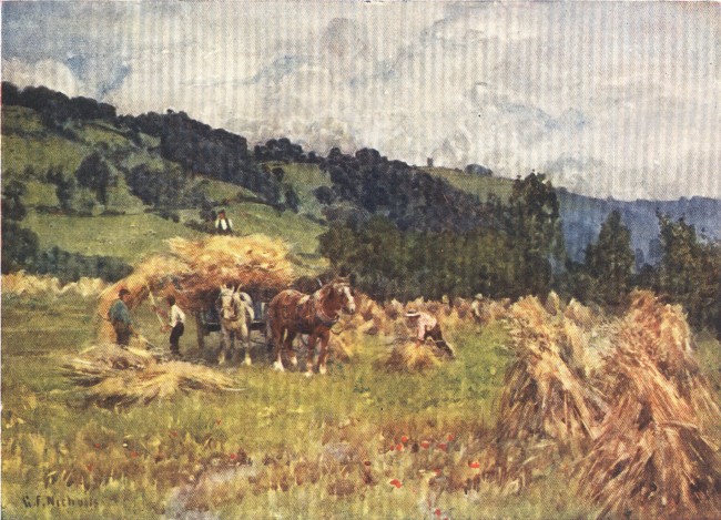 HARVESTING IN HEREFORDSHIRE