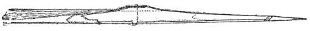 A CROSS-SECTION OF THE GATUN DAM