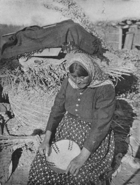 MOJAVE BASKET-MAKER