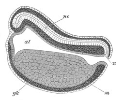 Illustration: Figure 73