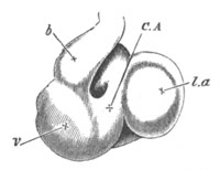 Illustration: Figure 360