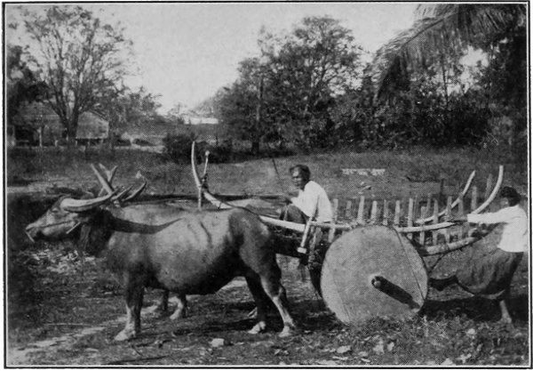 How We Travel by Cart and Boat