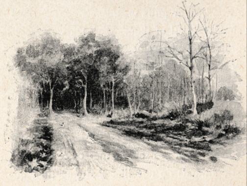 Looking along the empty road