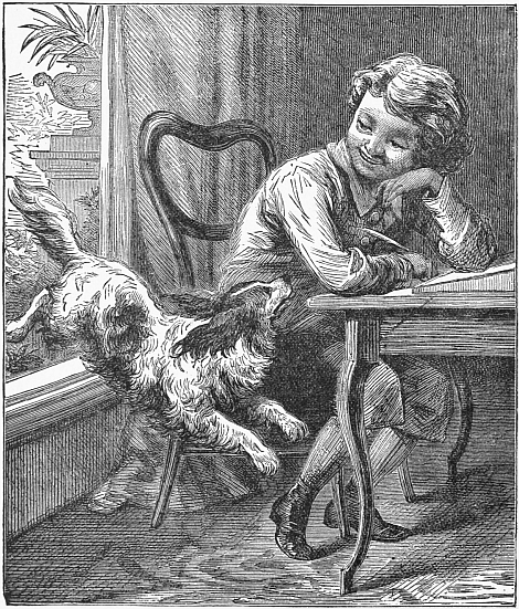 dog jumping in through window, boy at desk smiling at him