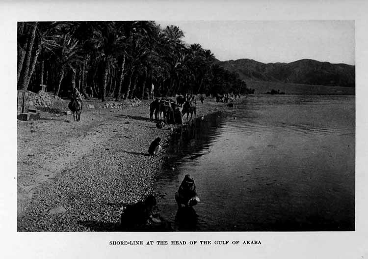 Photograph: SHORE-LINE AT THE HEAD OF THE GULF OF AKABA