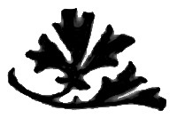 Leaf decoration
