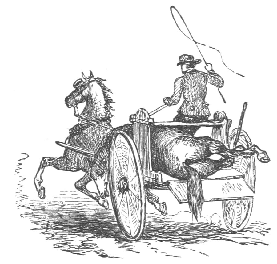 Horse and cart in rapid motion carrying a dead horse