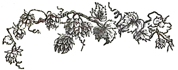 image003