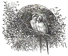 image004
