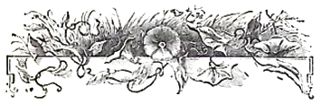 image005