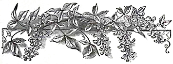 image011