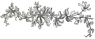 image013