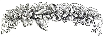 image015