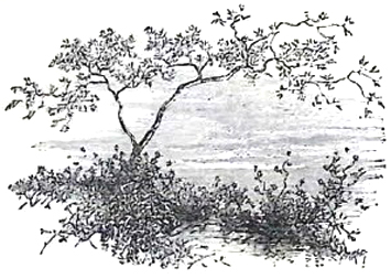 image021