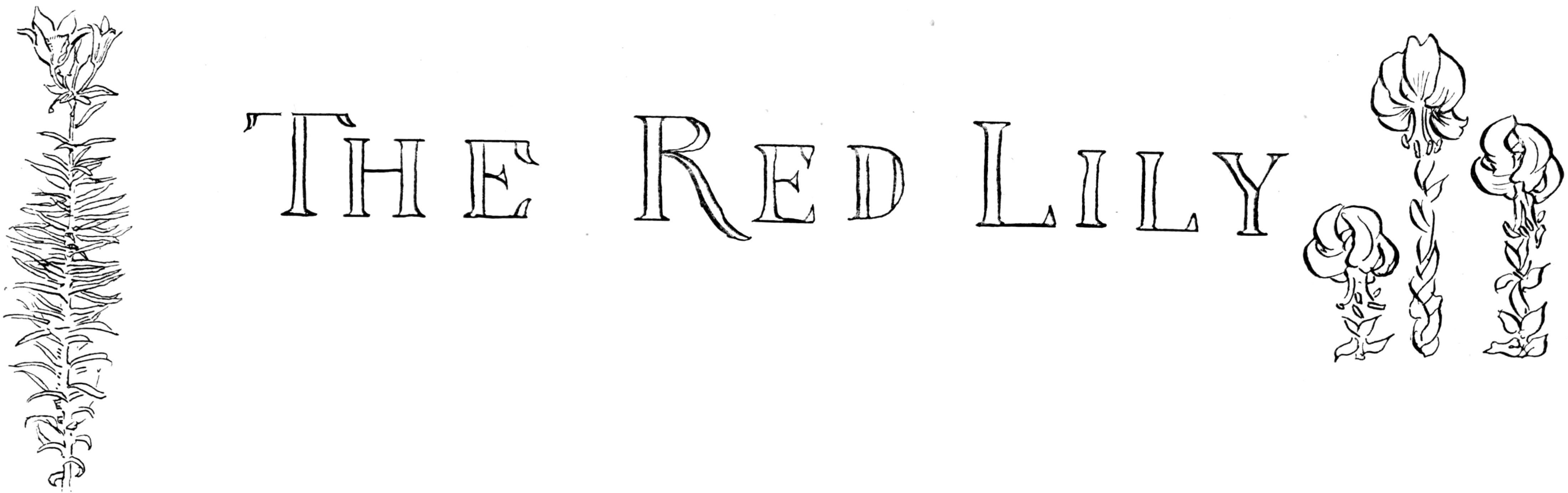 A vertical or horizontal decorative page accent showing three minimal pen-and-ink line drawings of stylized lily flowers on braided leafy stems.