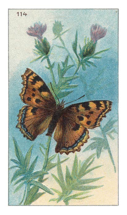 114