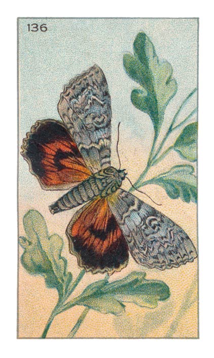 136