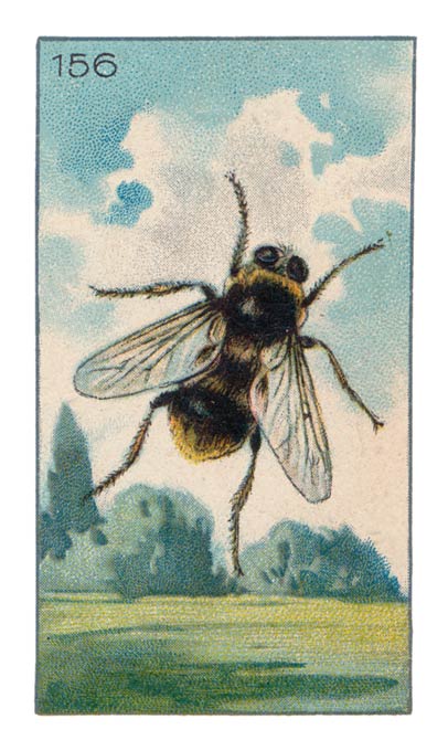 156