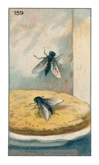 159