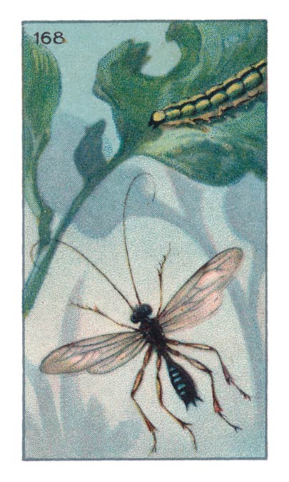 168