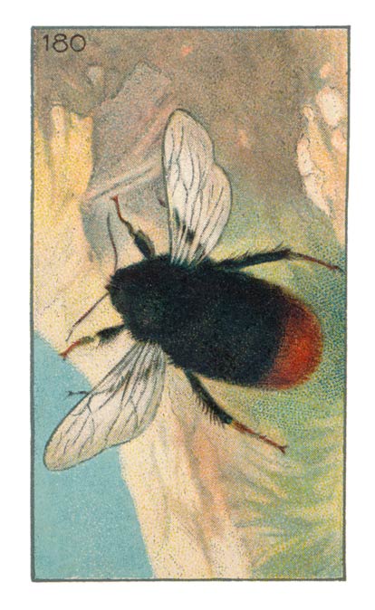180