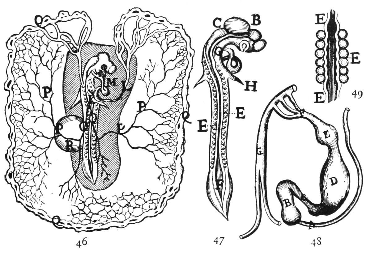 figures 46 to 49
