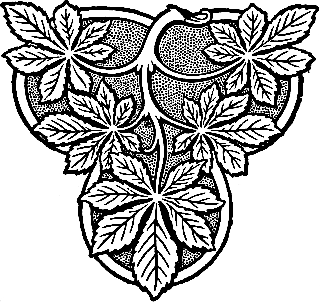 Decorative line drawing