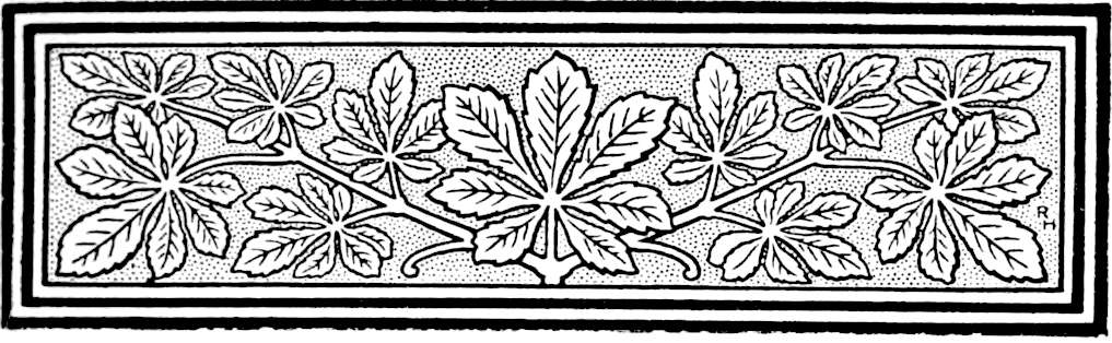 Decorative line drawing