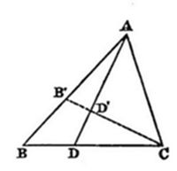 A bold
triangle with vertices A (top right), B (bottom left), C (bottom
right). Cevian AD drops from A to point D on base BC. Interior point B'
lies on AB and D' lies near the center, connected by a dashed line from
B' to D'.