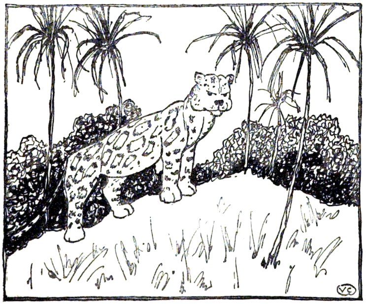 Black and white line drawing of a grumpy-faced leopard standing on a hill in a jungle clearing surrounded by palm trees.