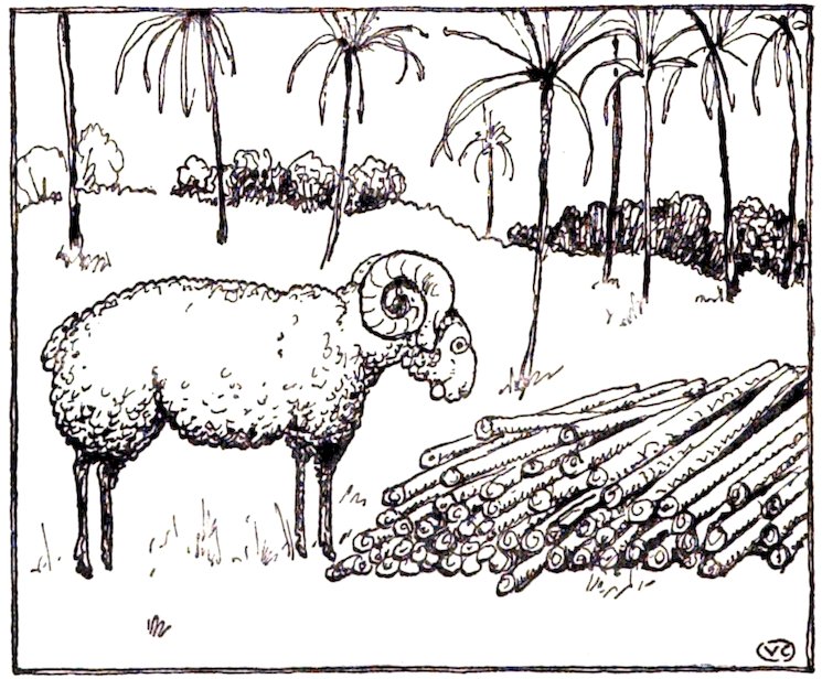 Black and white line drawing of a horned ram standing in a clearing next to a pile of logs, with palm trees behind.