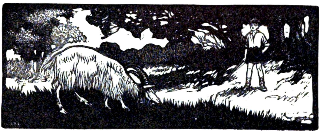 A black-and-white illustration of a boy standing in a field watching a large goat graze nearby.