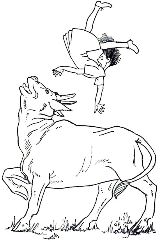 A dramatic, black-and-white line drawing showing a young girl being tossed into the air by a large bull in a field.