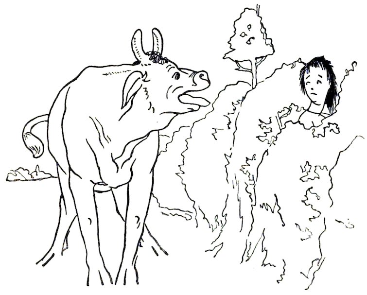 A black-and-white line drawing depicting a bull looking toward a large, leafy bush where a girl is hiding and looking out with a worried expression.
