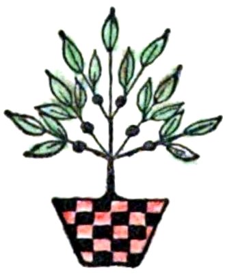 A stylized illustration of a small green plant with dark berries, growing out of a red and black checkered pot.