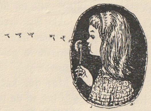 [Illustration]