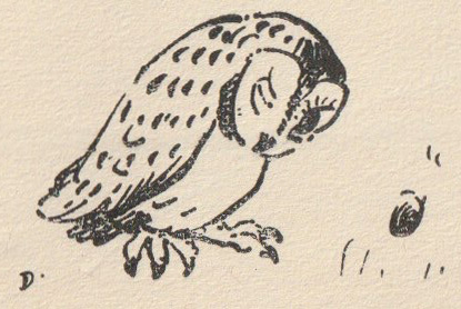 [Illustration]