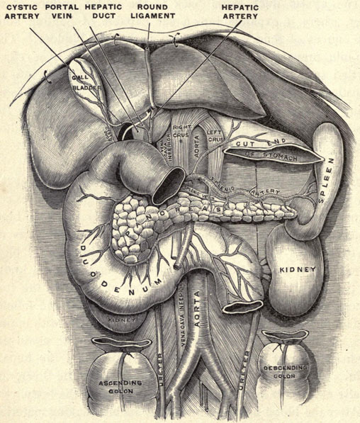 Illustration: