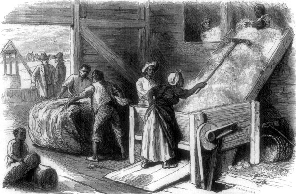 THE COTTON GIN.