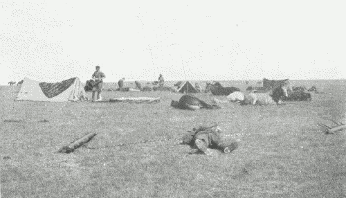 Dawn--After a Night March, Trichardtsfontein