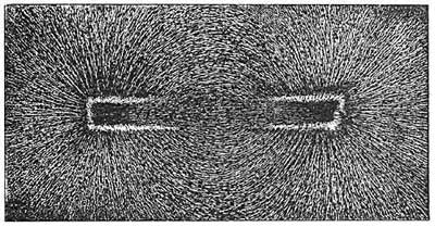 FIG. 224.—Iron filings scattered over a magnet arrange
themselves in definite lines.