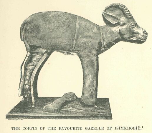 027.jpg the Coffin of The Favourite Gazelle Of Ismkhobiu 