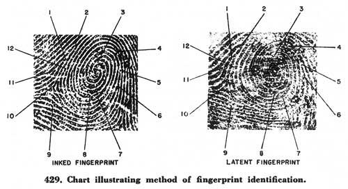 Fig. 429