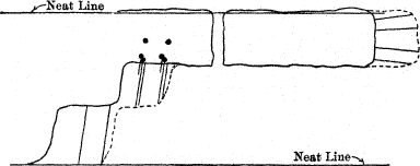 longitudinal section